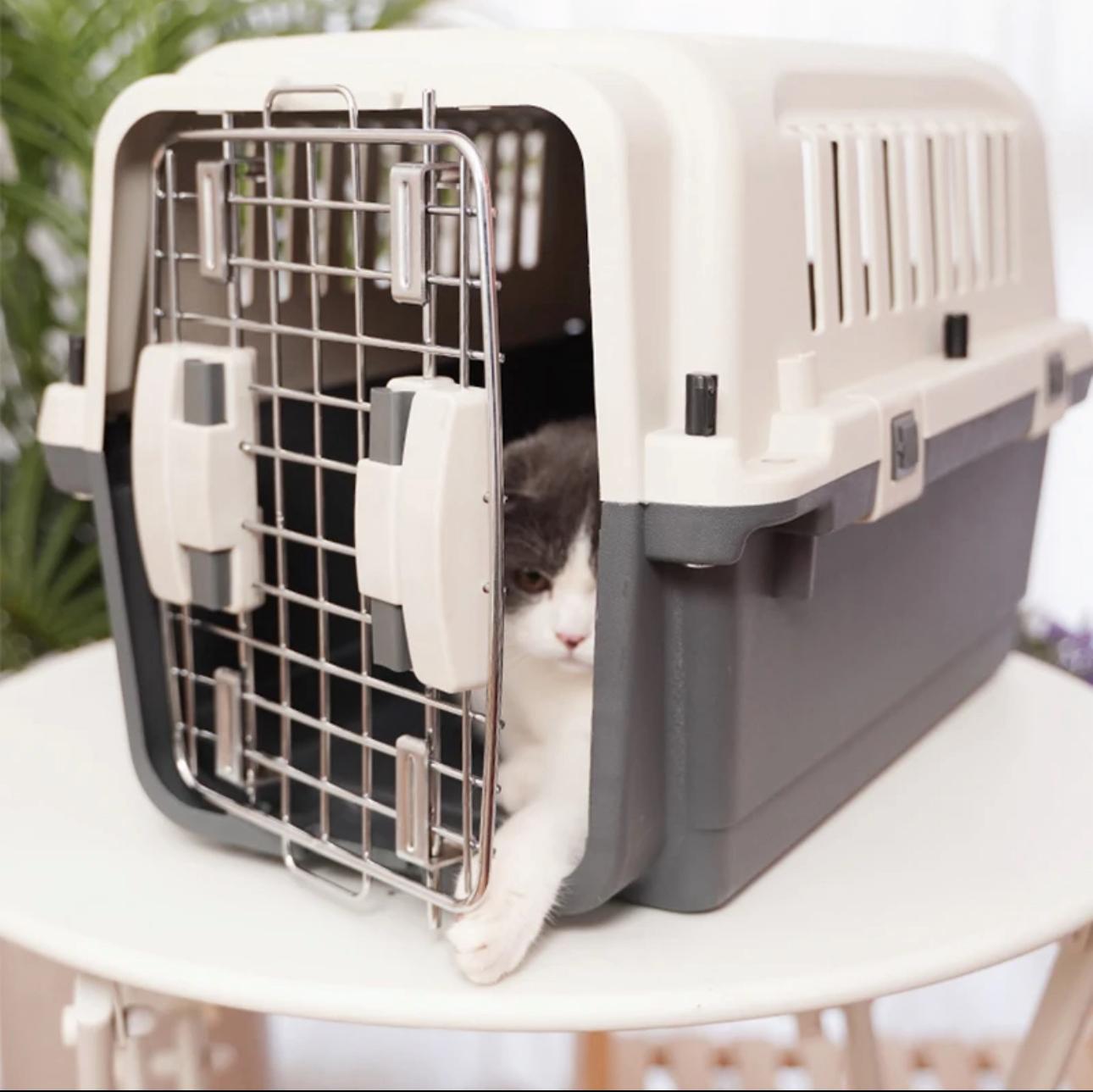 Pet cage without wheels