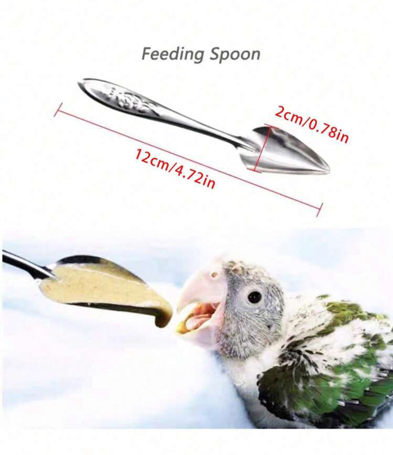 جهاز تغذية الطيور
